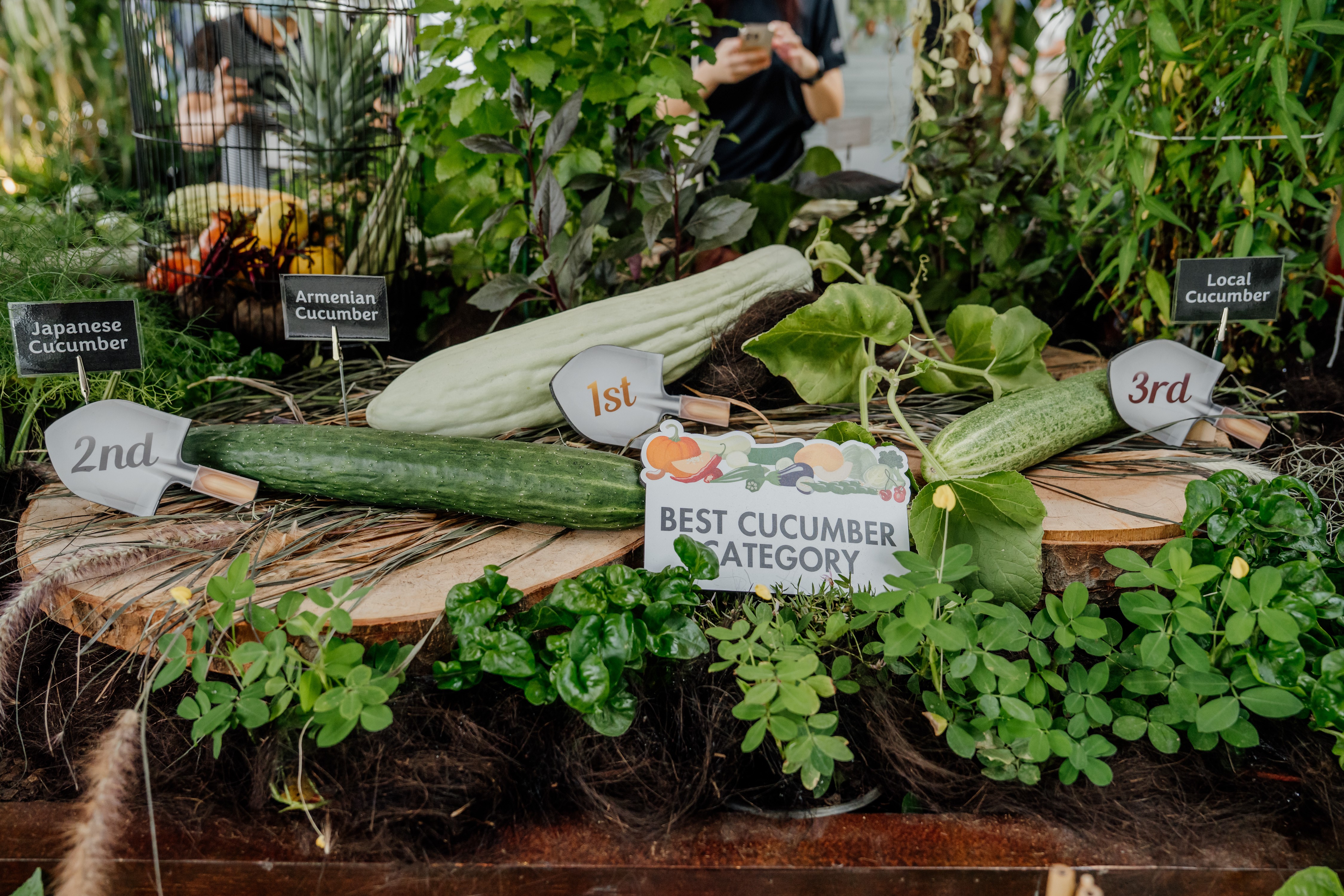 Community Garden Edibles Competition